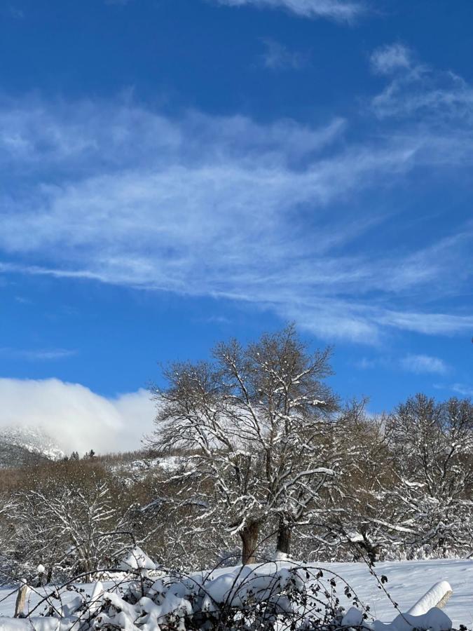 Ferienwohnung La Holandesa Cercedilla Exterior foto
